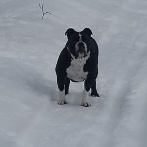 Meet your Posher, Justin